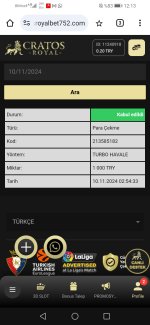 Screenshot_20241110_121328_com.android.chrome.jpg