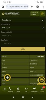 Screenshot_2024-11-11-01-36-22-761_com.android.chrome.jpg