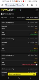 Screenshot_20241111-135742_Chrome.jpg