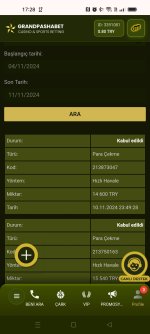 Screenshot_2024-11-11-17-28-48-32_40deb401b9ffe8e1df2f1cc5ba480b12.jpg