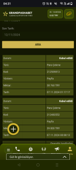 Screenshot_20241112-043150.png