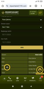 Screenshot_2024-11-12-09-13-24-659_com.android.chrome.jpg