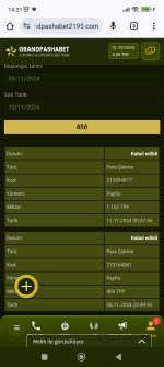 Screenshot_2024-11-12-14-21-16-716_com.android.chrome.jpg