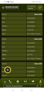 Screenshot_20241112_213809_com.android.chrome.jpg