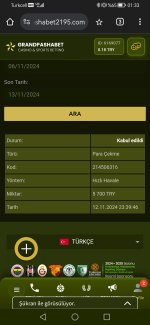 Screenshot_20241113_013311_com.android.chrome.jpg