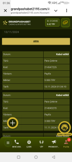 Screenshot_20241113-013628.png