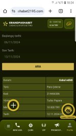 Screenshot_20241113-102413_Chrome.jpg