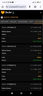 Screenshot_2024-11-13-13-51-14-223_com.android.chrome.jpg
