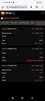 Screenshot_2024-11-13-17-34-41-354_com.android.chrome.jpg