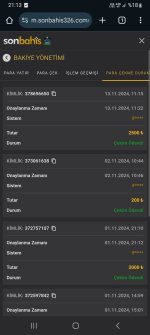 Screenshot_20241113_211332_Chrome.jpg
