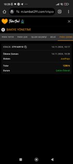 Screenshot_2024-11-14-10-28-46-489_com.android.chrome.jpg