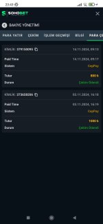 Screenshot_2024-11-14-23-43-22-816_com.android.chrome.jpg