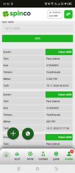 Screenshot_20241115-013201.jpg