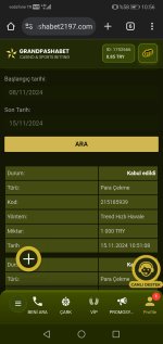 Screenshot_20241115_105648_com.android.chrome.jpg