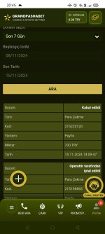 Screenshot_2024-11-15-20-45-30-52.jpg