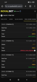 Screenshot_2024-11-16-00-47-27-727_com.android.chrome.jpg