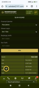 Screenshot_2024-11-16-22-08-44-326_com.android.chrome.jpg
