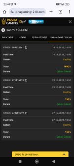 Screenshot_2024-11-16-23-40-55-249_com.android.chrome.jpg
