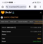 Screenshot_2024-11-17-01-12-17-575_com.android.chrome-edit.jpg