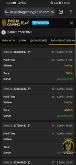 Screenshot_20241117_144221_com.android.chrome.jpg