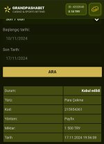 Screenshot_2024-11-17-22-22-09-82_40deb401b9ffe8e1df2f1cc5ba480b12.jpg