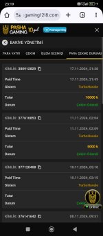 Screenshot_2024-11-18-23-19-22-347_com.android.chrome.jpg