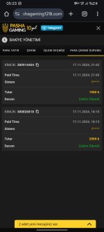 Screenshot_20241118_052356_Chrome.jpg