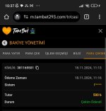 Screenshot_2024-11-19-10-37-00-661_com.android.chrome-edit.jpg