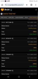 Screenshot_20241119-230940_Chrome.jpg