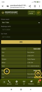 Screenshot_2024-11-20-00-26-00-587_com.android.chrome.jpg