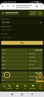 Screenshot_2024-11-20-01-52-31-162_com.android.chrome.jpg