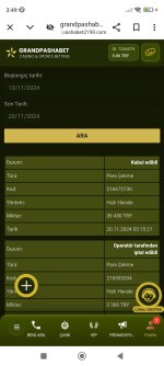 Screenshot_2024-11-20-03-49-03-573_com.android.chrome.jpg