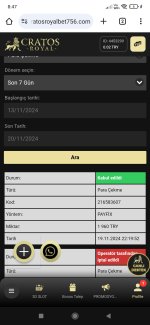 Screenshot_2024-11-20-08-47-21-098_com.android.chrome.jpg