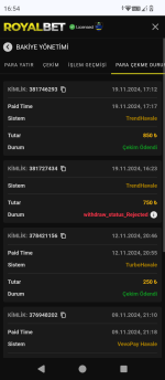Screenshot_20241120-165409.png