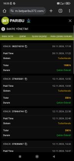 Screenshot_2024-11-20-18-33-33-809_com.android.chrome.jpg