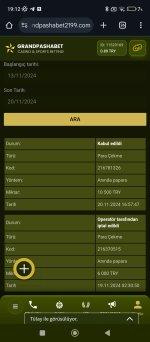 Screenshot_2024-11-20-19-12-13-204_com.android.chrome.jpg
