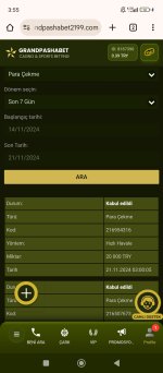 Screenshot_2024-11-21-03-55-43-611_com.android.chrome.jpg