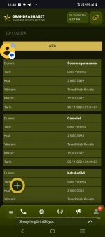 Screenshot_20241120_223808.jpg