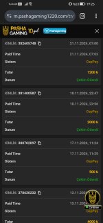 Screenshot_20241121_192644_com.android.chrome.jpg