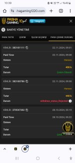 Screenshot_20241122_103952_Chrome.jpg