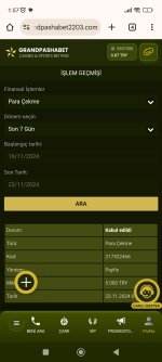 Screenshot_2024-11-23-01-57-56-893_com.android.chrome.jpg