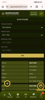 Screenshot_2024-11-23-17-11-58-907_com.android.chrome.jpg