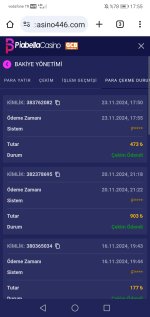 Screenshot_20241123_175550_com.android.chrome.jpg