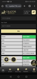 Screenshot_20241124_022016_com.android.chrome.jpg