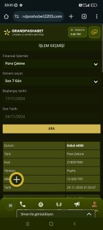 Screenshot_2024-11-24-22-35-39-932_com.android.chrome.jpg