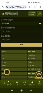 Screenshot_2024-11-24-23-57-53-291_com.android.chrome.jpg
