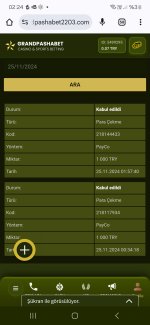 Screenshot_20241125_022407_Chrome.jpg