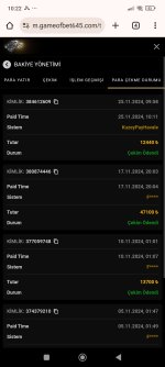 Screenshot_2024-11-25-10-22-50-007_com.android.chrome.jpg