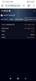 Screenshot_2024-11-25-11-19-30-752_com.android.chrome.jpg