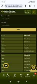 Screenshot_2024-11-25-21-57-18-916_com.android.chrome.jpg